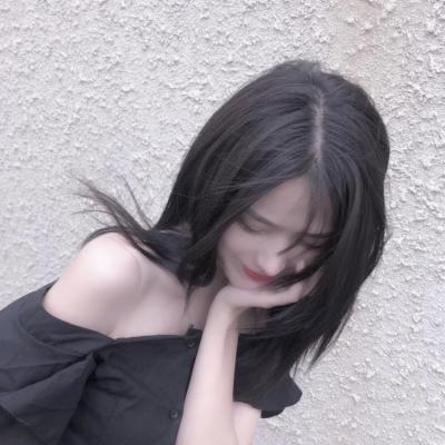 宠物精灵宝可梦4399手游下载